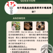 巴西 南米納斯